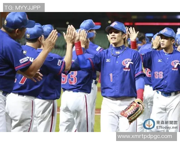 中华台北对阵新西兰的欧赔分析与赛前预测探讨